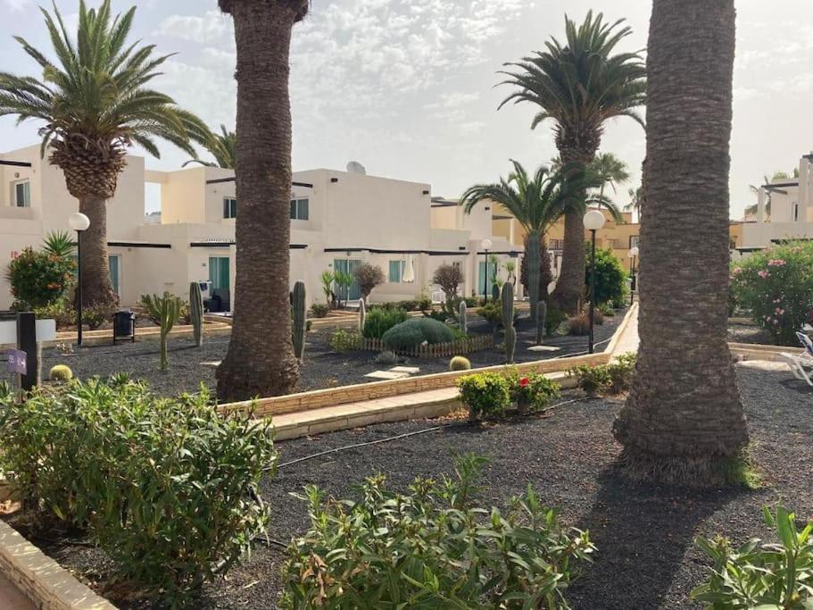 Corralejo Suite Pool & Gardens - Alisios Playa المظهر الخارجي الصورة
