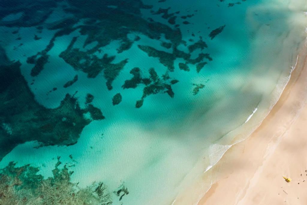 Corralejo Suite Pool & Gardens - Alisios Playa المظهر الخارجي الصورة