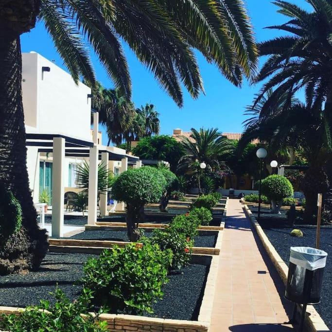 Corralejo Suite Pool & Gardens - Alisios Playa المظهر الخارجي الصورة