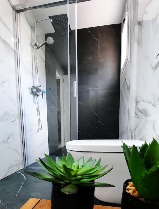 Corralejo Suite Pool & Gardens - Alisios Playa المظهر الخارجي الصورة